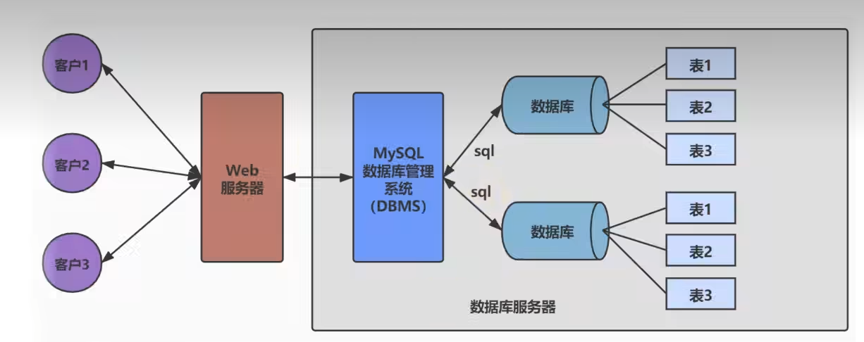 数据库和数据库管理系统